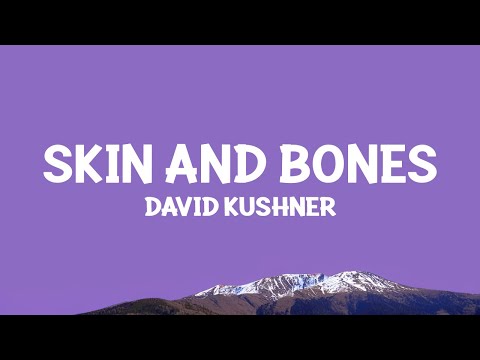 David Kushner - Skin and Bones (Lyrics)