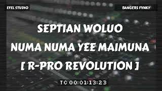 Download lagu SEPTIAN WOLUO - NUMA NUMA YEE MAIMUNA (BANGERS FVNKY) [R-PRO REVOLUTION] mp3