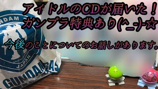 ちょっとした紹介と今後のことでお話してます！