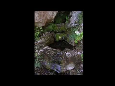 Vitomir Budimirovic   Tri fntnj