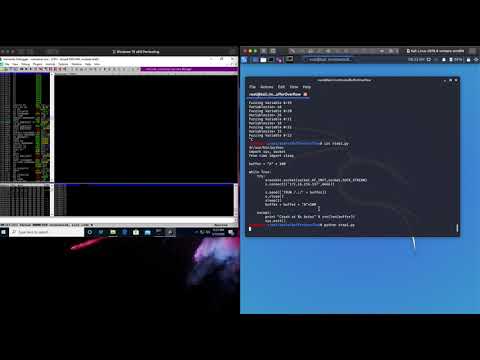 Step1 Simple Buffer Overflow - Fuzzing