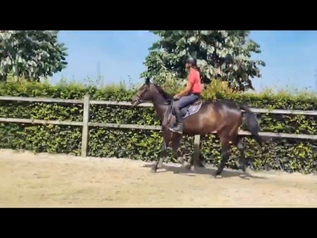 Riding movie at home (just broken) Surpice.