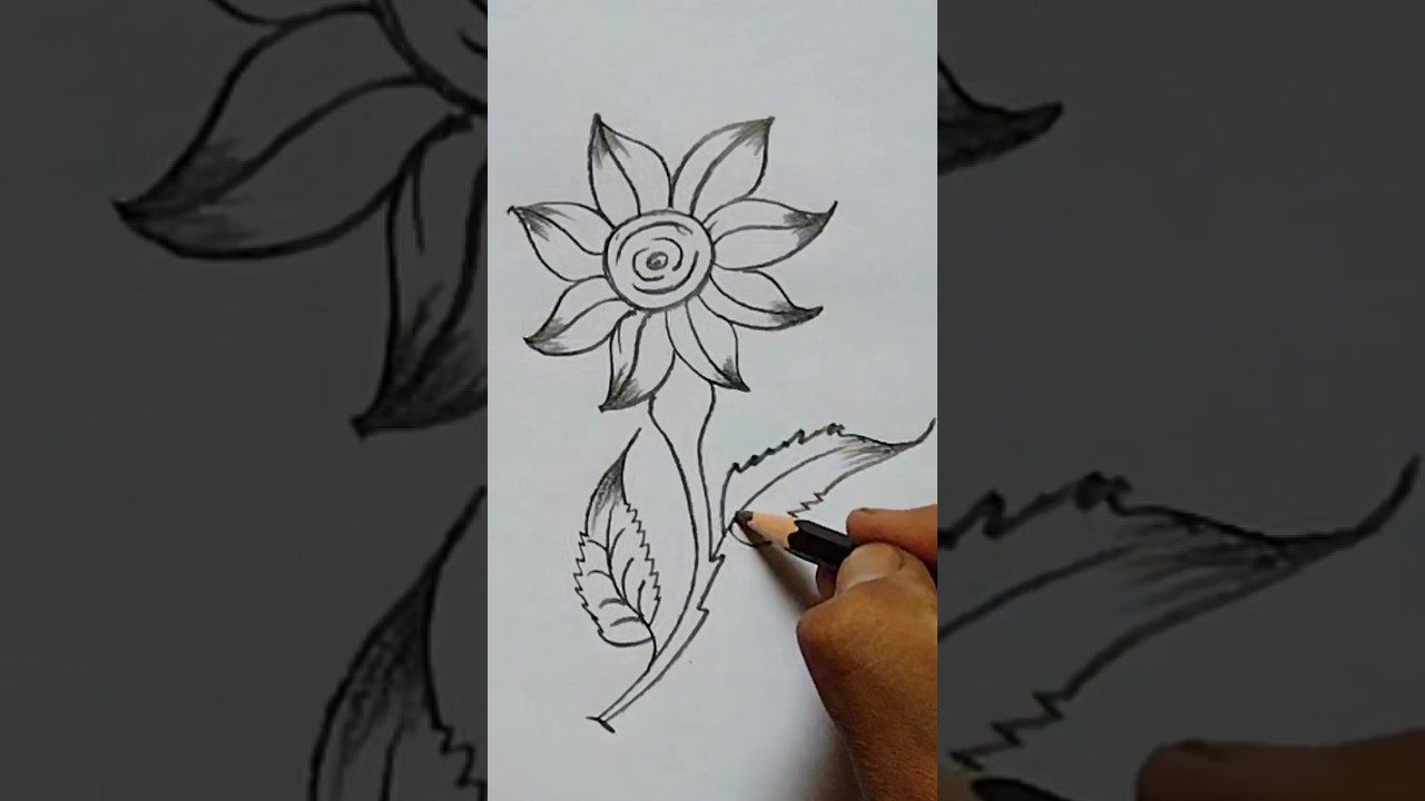 How to Easy flower draw Beautiful flower drawing tutorial #art #drawingreferences #stepbystep #draw