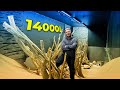 Je n'avais pas prévu autant de sable... Le décor de l'aquarium de 14000L continue !