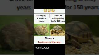 Laziness 😂is the best😀||Rabbit 🐰 Vs 🐢 Turtle ||#memes#textmemes#funnymemes#schoolmemes#shots#viral