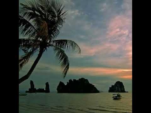 Phút đầu gặp gỡ - Nguyễn Xuân Lưu