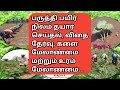 பருத்தி சாகுபடி Cotton Cultivation Vivasayapokkisham Part 1