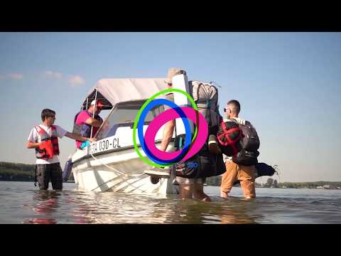 3 Smoked Olives Island Festival for the new islanders