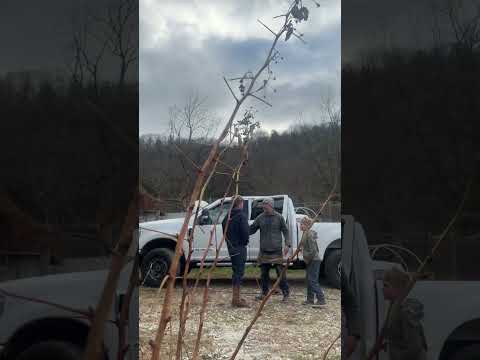 Justin Rhodes: Food Forest & Carbon Farming (12/11/25)