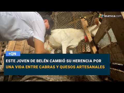 This young man from Bethlehem traded his heritage for a life among goats and artisanal cheeses