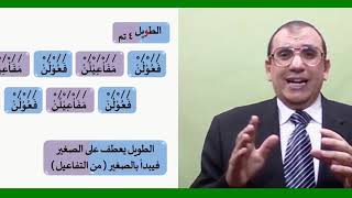 7 ¶ البحور مُجَمَّعَة التفعيلة image
