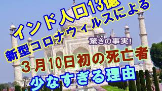 新型コロナウィルスに負けない!  食事で摂取したい免疫力と抗酸化力