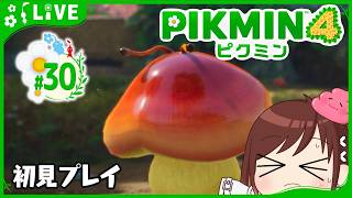白ピクミンは増やしたい♪【ピクミン4初見プレイ】 #おはようvtuber  #30