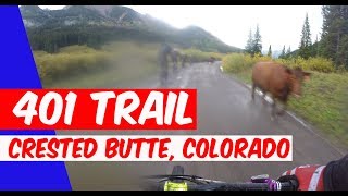 The 401  |  OCT 2017  |  Caught in a hail storm of Biblical Proportions!