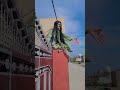Tamoor Hashmi funny video TikTok download https://bit.ly/41eNal8 @chutki_waaly_baba