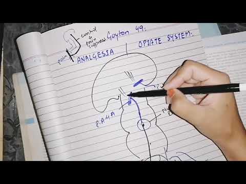 Analgesia System (Pain suppression) / Opiates system Guyton 49 #neurophysiology