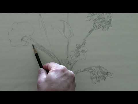 Dessin de bouquet de fleurs / Drawing of bouquet of flowers