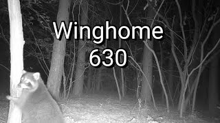 Winghome 630 - Die (bisher) Preiswerteste "gute" Wildkamera