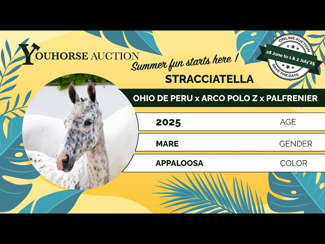 Stracciatella