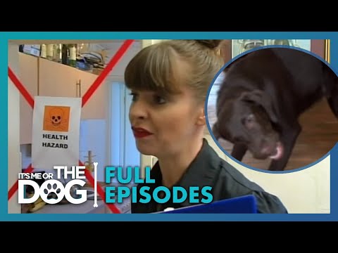 It's Me Or The Dog Full Episodes and It's Me or the Dog