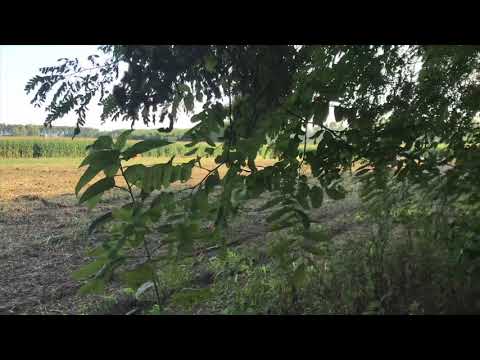 Simple Affût Photographe Animalier Wildlife Photography Hide Tier Fotografie Fabulous Outdoors