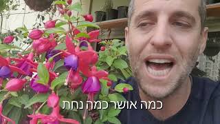 תרשמו לעצמכם ביומנים לשתול פוקסיה בחורף הבא