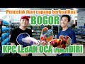 Kecamatan Dengan Ikan Hias Terbanyak Di Kabupaten Bogor