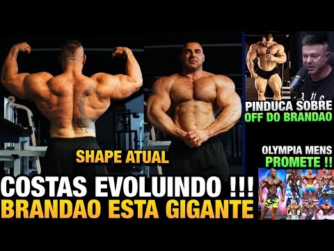 BRANDÃO MOSTRA DORSAL GIGANTE e EVOLUIU BEM NESSE OFF + PINDUCA MANDA A REAL + MENS OLYMPIA 2023