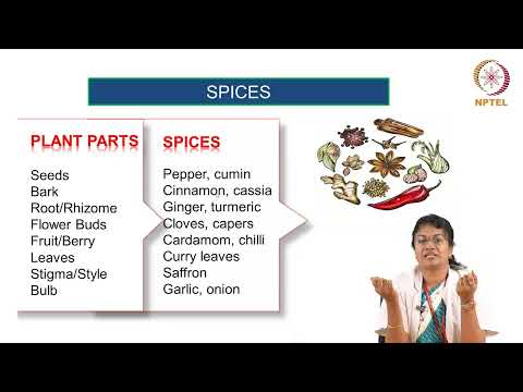 Condiments and Spices