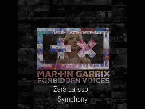 Martin Garrix vs Zara Larsson - Forbidden Voices / Symphony
