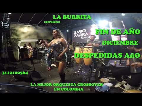 ORQUESTA EN PALERMO HUILA SAN PEDRO SAN JUAN ORQUESTA LA PLATA HUILA SAN PEDRO  GIGANTE HUILA ORQUE