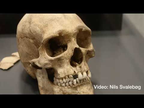 Reformationen hvad var det?