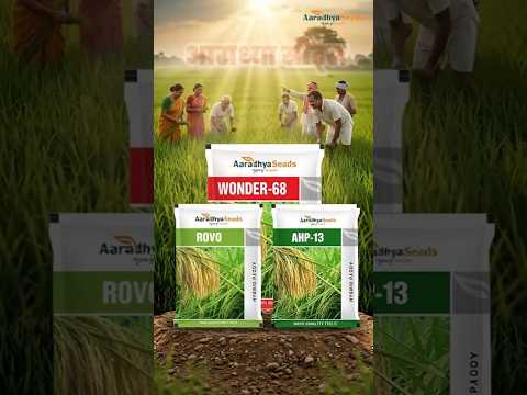 Smart Irrigation