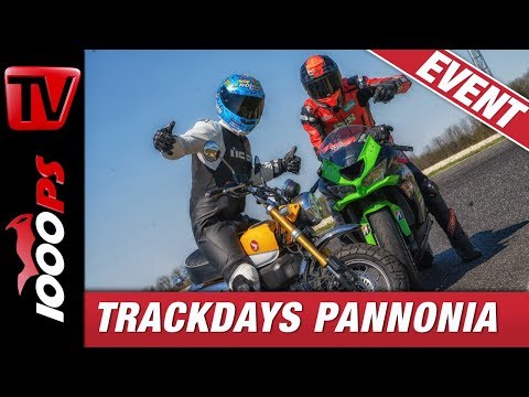Unglaubliche Vielfalt, gewaltiger Ehrgeiz - 1000PS Bridgestone Trackdays April 2019 Pannoniaring