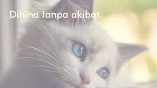 Download lagu Story whatsApp baper. mp3