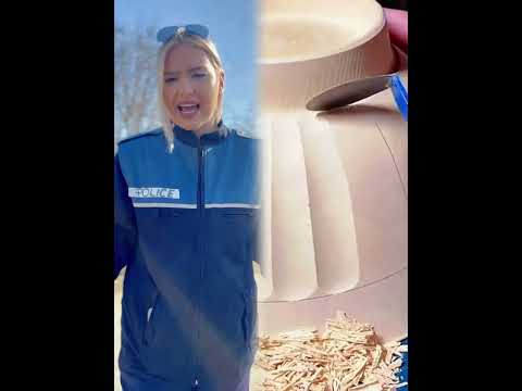 Politista Certarescu la panda ! 😂😂 #funny #pov #comedy #skit #fyp #shorts #viral #humor #foryou