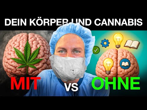 Körper mit vs. ohne Cannabis: Was passiert wirklich?