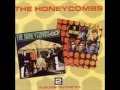The Honeycombs   Our day will come