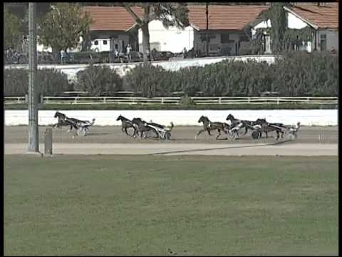 Trotto 16/10/2014 - 1° prova di qualifica