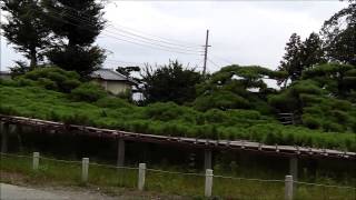 preview picture of video '伊勢崎「連取の松」 The pine of a Tsunatori'