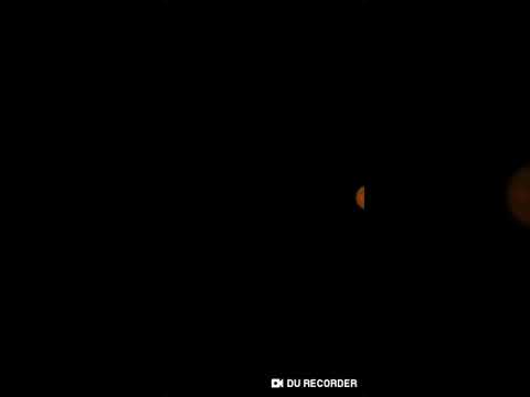 Simon's Cat Pop Time S9 part 153-157(5)