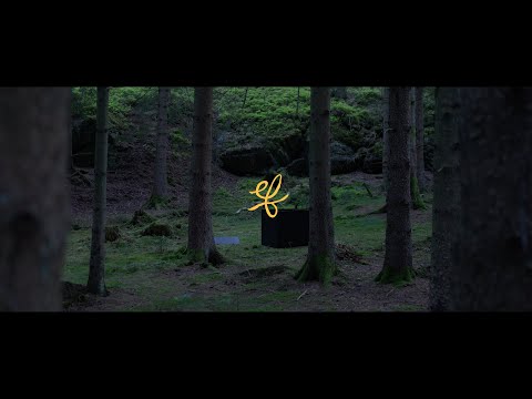 EF - Noll (20th Anniversary)