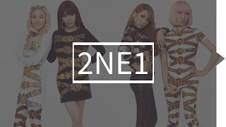 2NE1 Members Profile