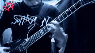 Cerebral Effusion - New song 2013 - Guitarcam