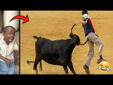 Crazy Funniest Videos Ever In The World🤣 (try not to laugh 65)