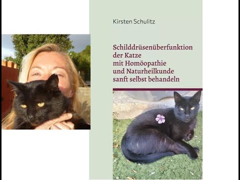 Treat hyperthyroidism in cats gently with homeopathy and naturopathy