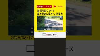 遊園地の近くでクマが車と衝突し茂みへ逃走　緊急閉園 "客の安全優先"　北見市