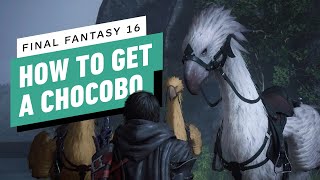 Final Fantasy 16 - How to Get a Chocobo
