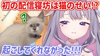 デビュー以来、初めて配信に寝坊したビブー。寝坊の原因はJohn Cat！？【ホロライブ切り抜き/古石ビジュー/Koseki Bijou】