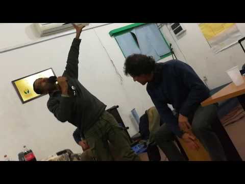 Harmonia Enlouquece. Locura...